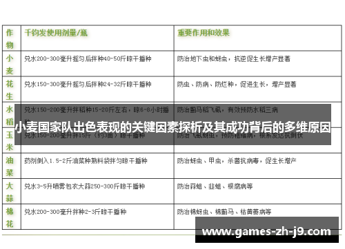 小麦国家队出色表现的关键因素探析及其成功背后的多维原因