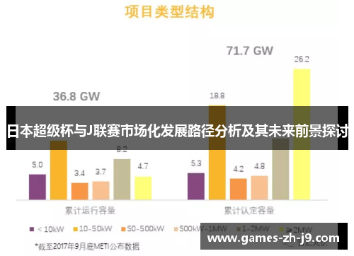 日本超级杯与J联赛市场化发展路径分析及其未来前景探讨